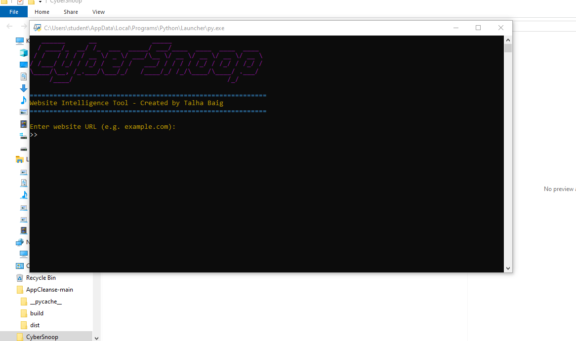 CyberSnoop Project